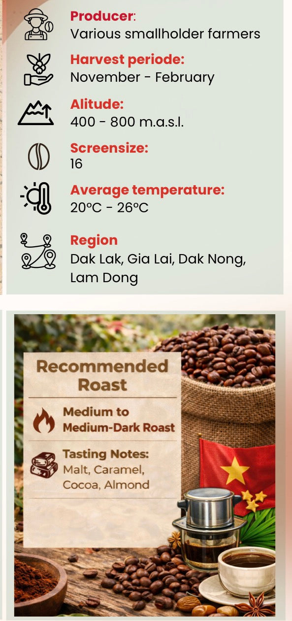 Rohkaffee Robusta Vietnam