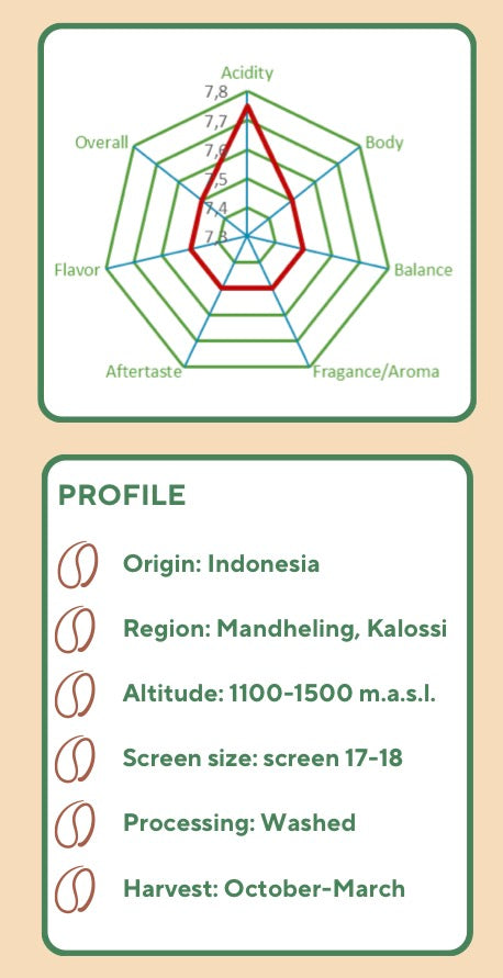 Rohkaffee Indonesien Sumatra Mandheling