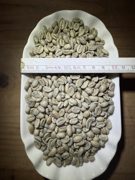 Rohkaffee Kolumbien Geisha Palermo