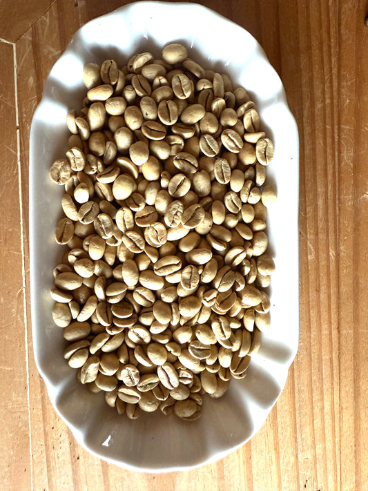 Rohkaffee Indien Monsooned Malabar AA